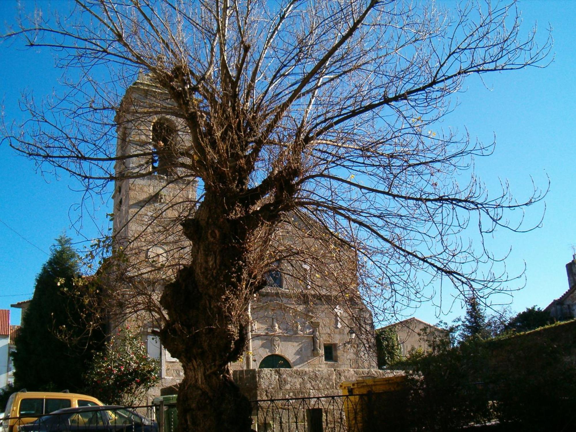 Hotel O Lagar Cambados Kültér fotó